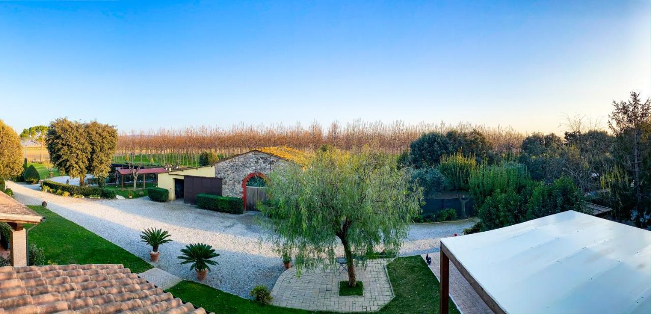 Agriturismo Il Cuscino Nel Pagliaio Кампилья-Мариттима Экстерьер фото