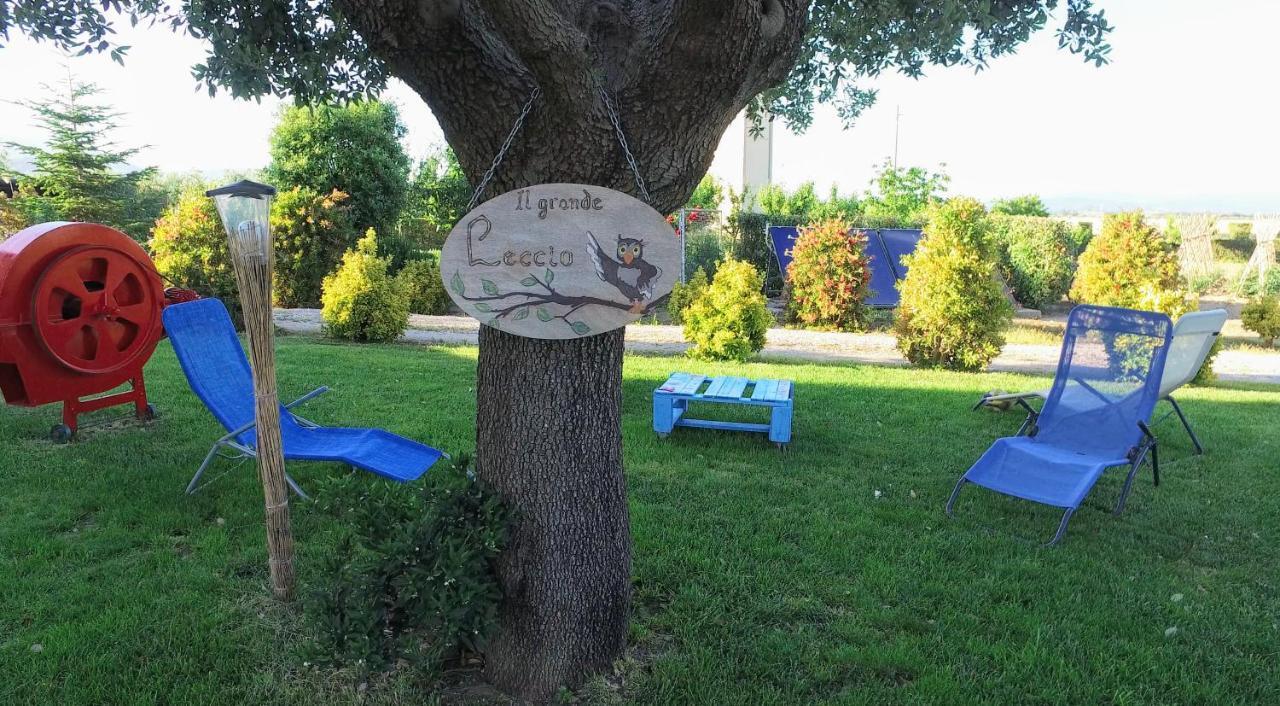 Agriturismo Il Cuscino Nel Pagliaio Кампилья-Мариттима Экстерьер фото