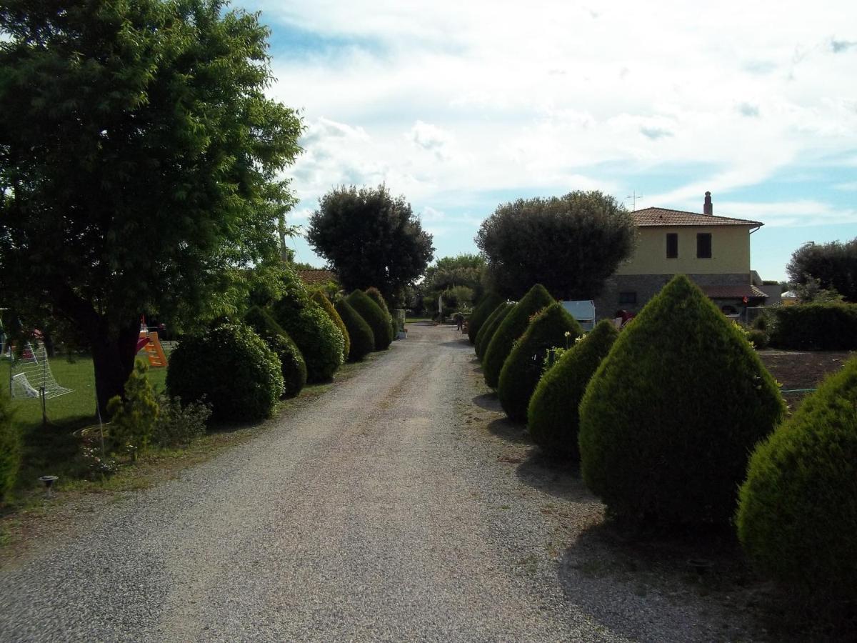 Agriturismo Il Cuscino Nel Pagliaio Кампилья-Мариттима Экстерьер фото